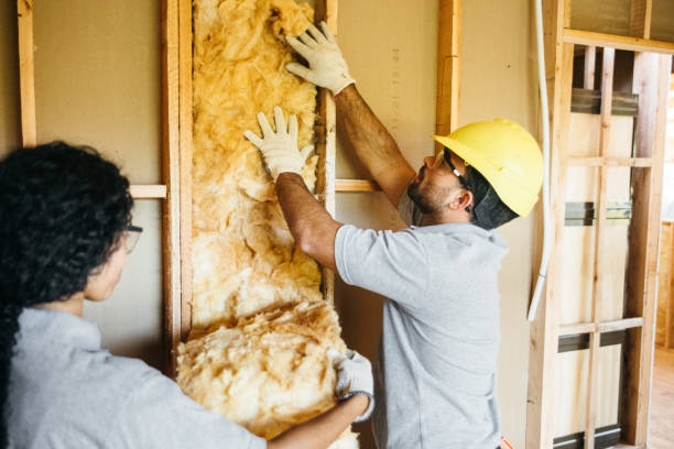Best Blown-in Insulation  in Tunica, MS